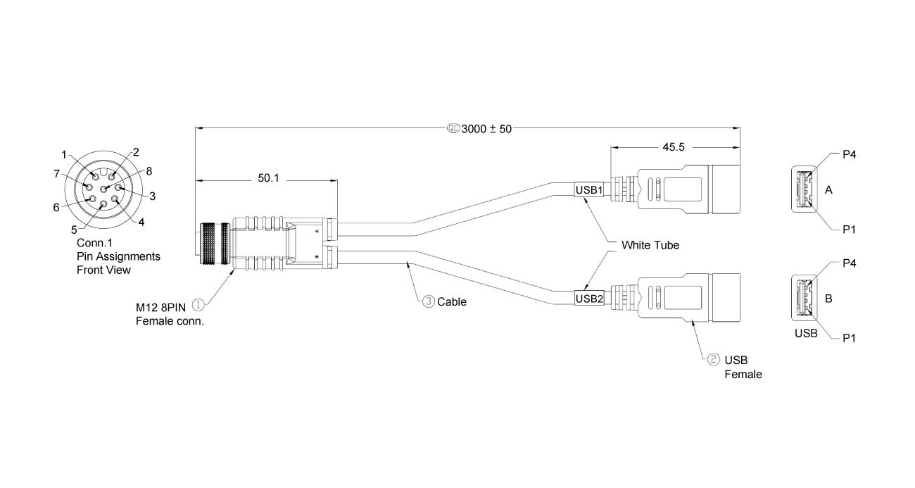 M12-2USB-300 Dimension