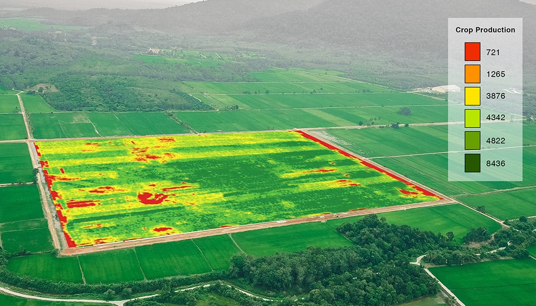 Precise Irrigation and fertilization with Management Data