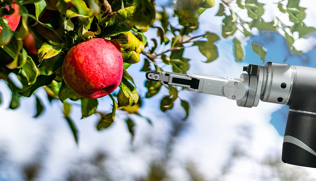 Crop Growth Monitoring and Harvesting Automation