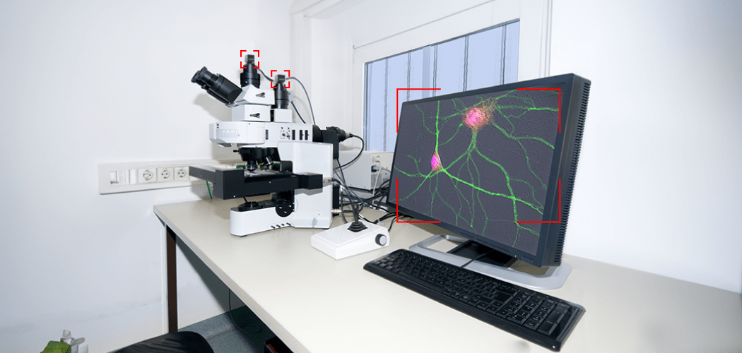 nir-fluorescence-imaging_image nir-fluorescence-imaging_image