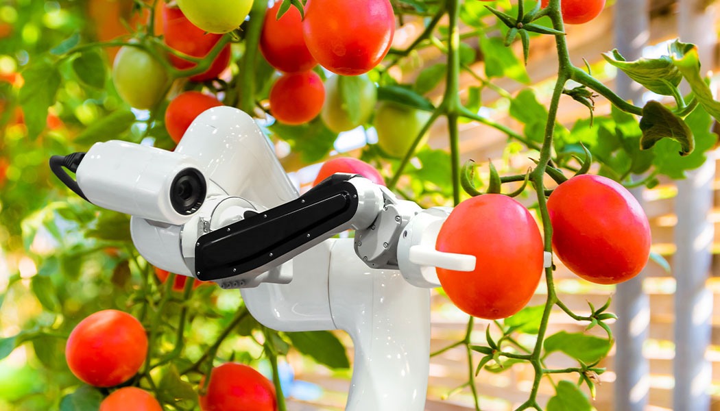 Autonomous Mobile Robots – The Future of Vision-Enabled Agriculture ...
