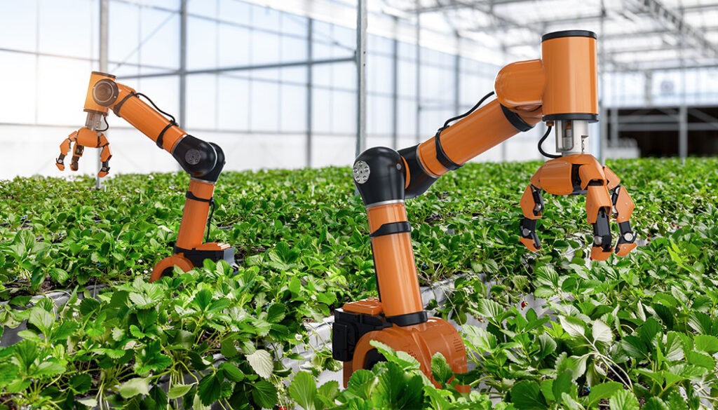 Agricultural robot