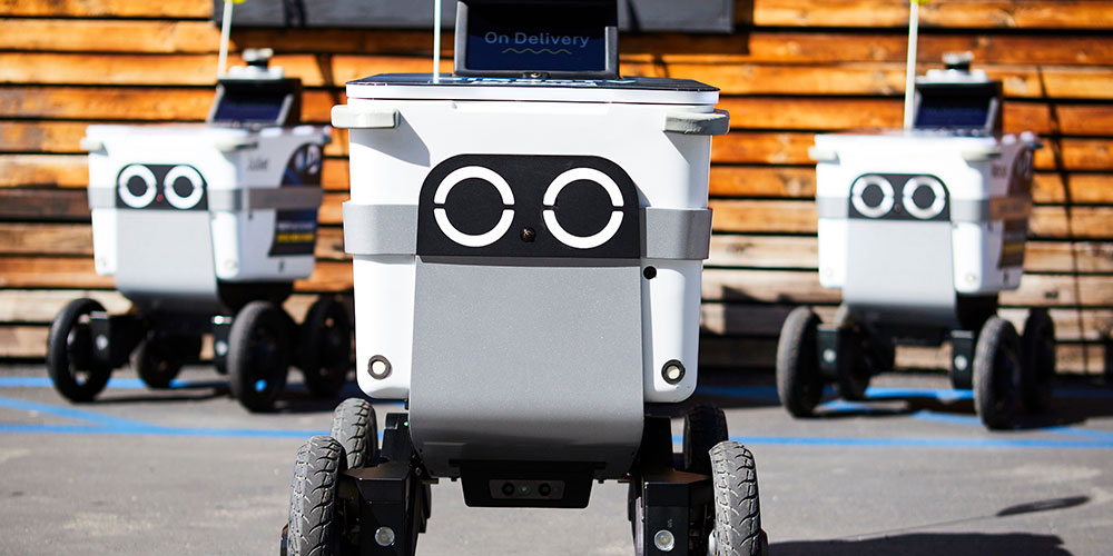 Delivery robot