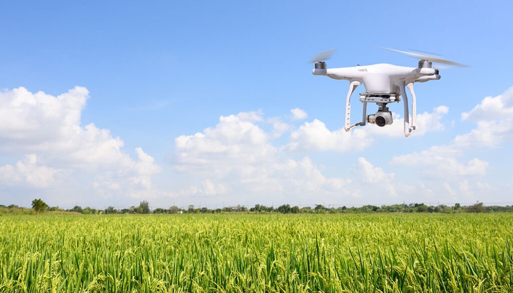 drone