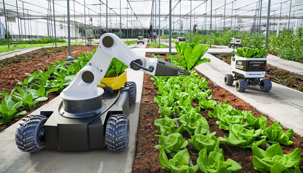 agricultural robot